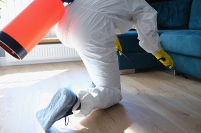 Commercial Fumigation in Clarksville, TN