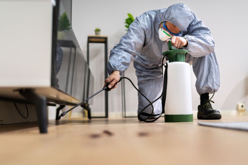 Spider Fumigation Service in Marietta, GA